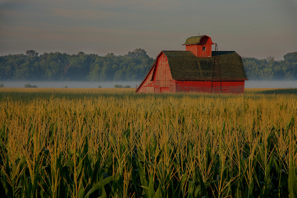 farm and crop insurance Woodstock VA